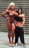 fbb and sexy hardbodies 1