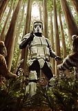 Star Wars Planets Endor  16